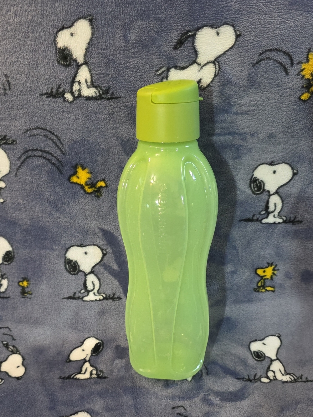 Green Tupperware Water Bottle